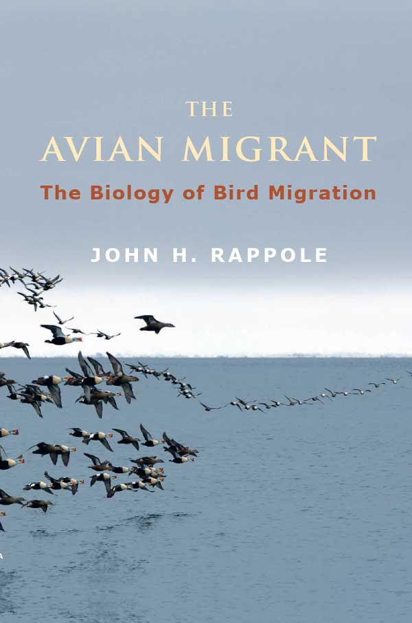 The avian migrant
