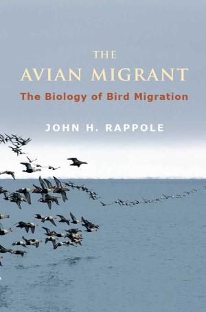 The avian migrant