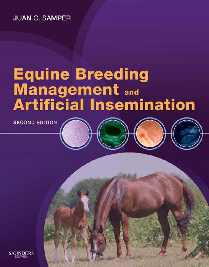 Equine Breeding Management  and Artificial Insemination