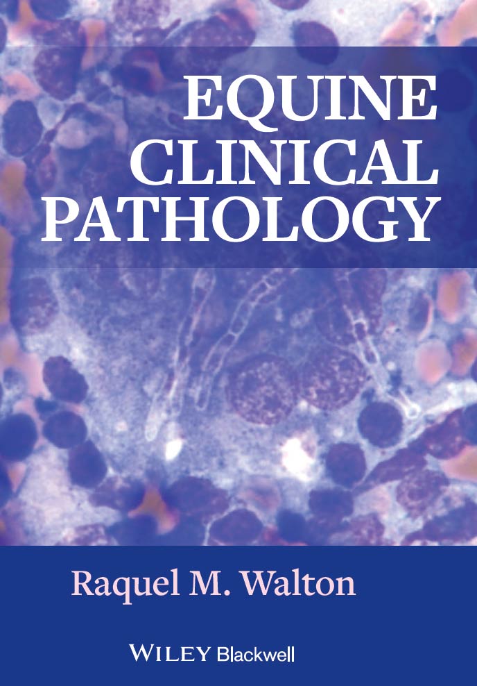 Equine Clinical Pathology