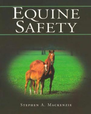 Equine Safety
