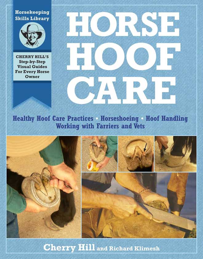 Horse  Hoof Care