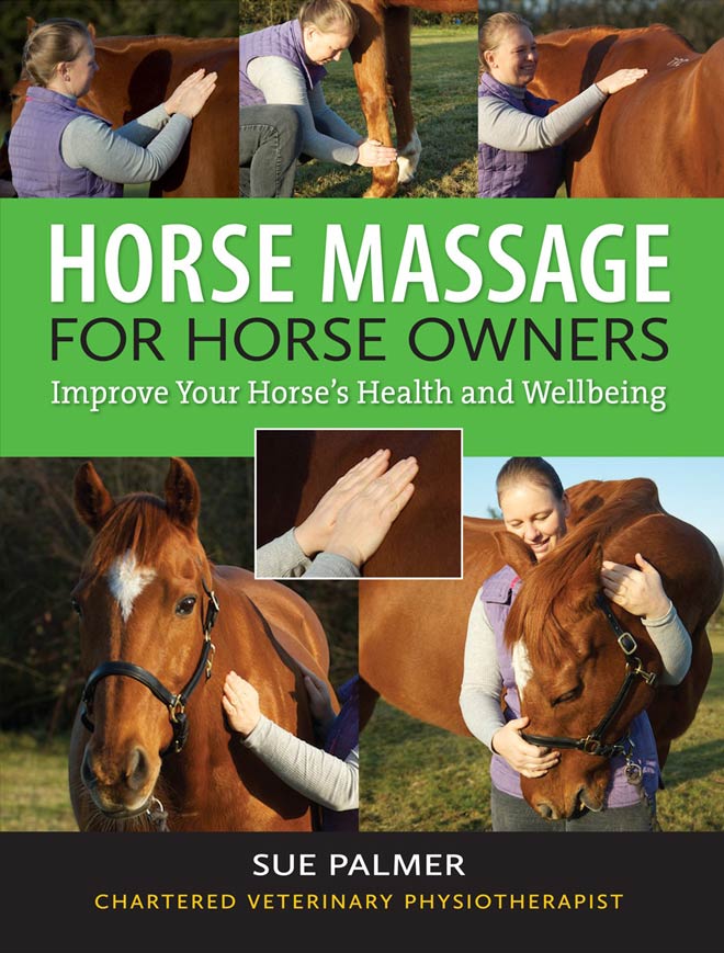 Horse Massage  for Horse Owners