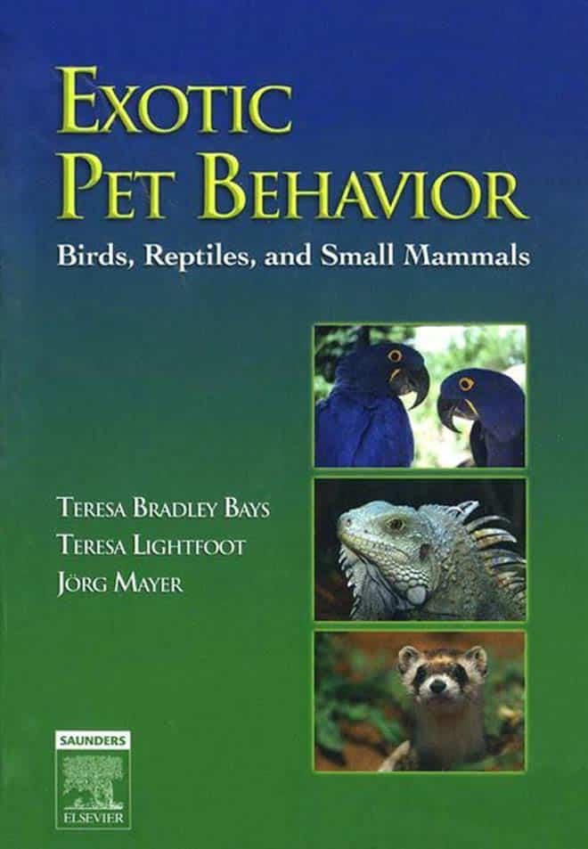 Exotic Pet Behavior Birds, Reptiles, and Small Mammals