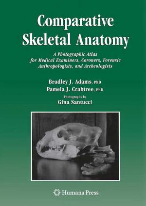 Comparative Skeletal Anatomy