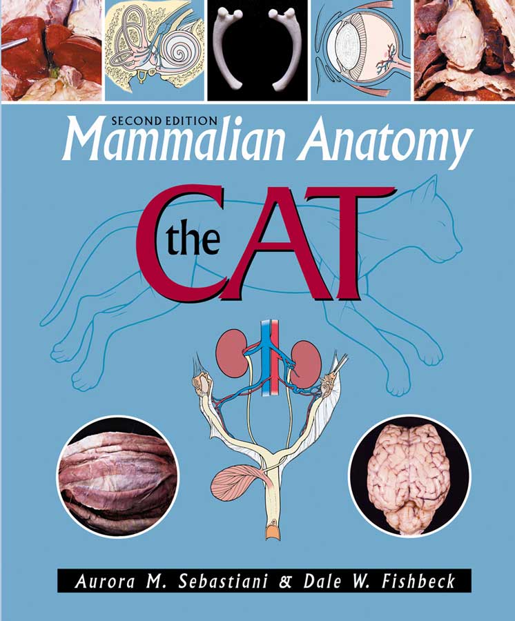 Mammalian Anatomy The Cat 2nd Edition