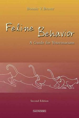 Feline Behavior