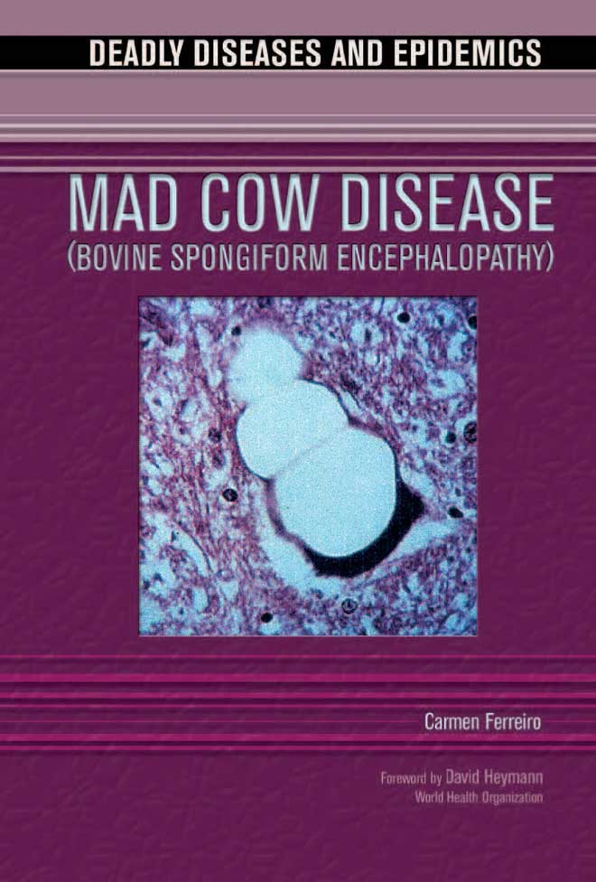 Mad Cow Disease
