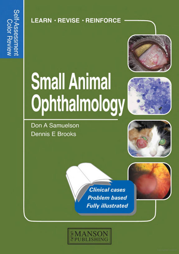 Self-Assessment Color Review Small Animal Ophthalmology