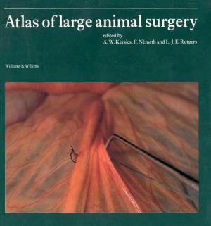 A Colour Atlas of Large animal Surgery