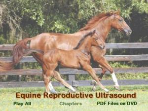 Equine Reproductive Ultrasonography